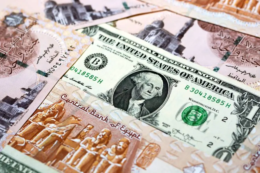 سعر الدولار مقابل الجنيه المصري اليوم الأربعاء 13 نوفمبر 2024