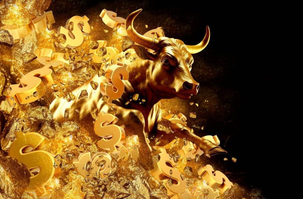 ثيران الذهب .. استراحة محارب