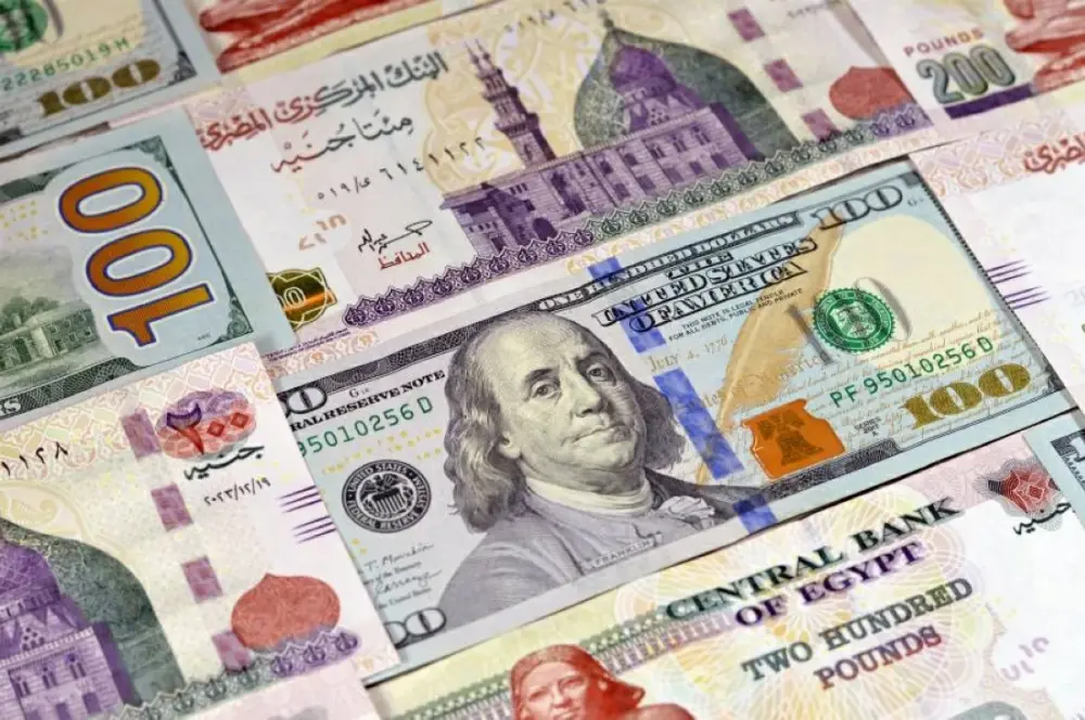 ارتفاع سعر الدولار مقابل الجنيه المصري اليوم الأحد